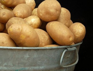 19-летнему жителю Пензенской области светит реальный срок за кражу 40 ведер картошки