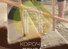 В одной из пензенских школ с потолка обрушилась штукатурка