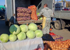 Жителей и гостей Пензы приглашают на ярмарку местной продукции у ТРК Коллаж