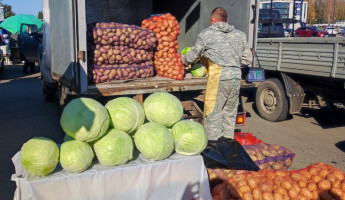 Жителей и гостей Пензы приглашают на ярмарку местной продукции у ТРК Коллаж