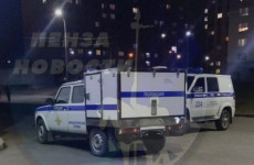 В Пензе на улицу Лозицкой стянулись кинологи и полицейские