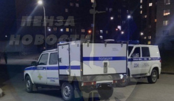 В Пензе на улицу Лозицкой стянулись кинологи и полицейские