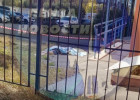На улице Тернопольской в Пензе мужчина выпал из окна и разбился насмерть
