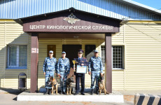 Кинологи из Пензенской области заняли второе место на чемпионате России