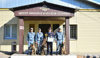 Кинологи из Пензенской области заняли второе место на чемпионате России