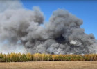 Кадры ужасают: крупный лесной пожар в Шемышейском районе попал на видео