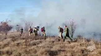В Сердобском районе Пензенской области вспыхнули заросли камыша