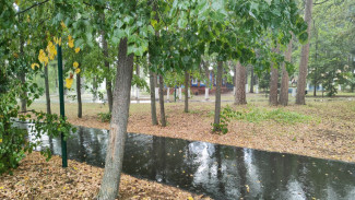 Во вторник в Пензенской области пройдут дожди