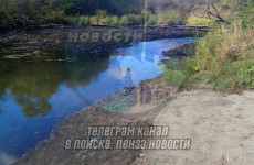 В Пензенской области внезапно исчезла одна из рек