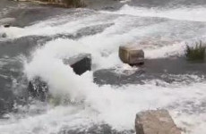 В Пензенской области начала возвращаться к жизни река Сердоба