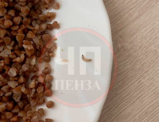 Юный спортсмен пообедал в столовой пензенского училища и нашел в тарелке опарыша