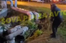 В Пензе сняли на видео квадробера, с воем бегающего за собаками