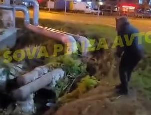 В Пензе сняли на видео квадробера, с воем бегающего за собаками