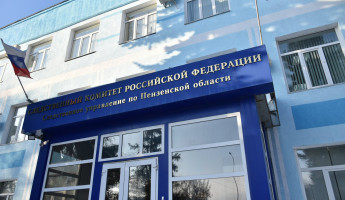 Под носом у Бастрыкина: пензенский СК снова пробует посадить бывшего полицейского за «избиение» «почитатательницы» Навального*