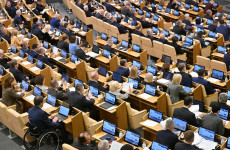 Единороссы в первом чтении проголосовали за проект бюджета страны