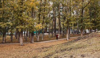 Что ждёт пензенцев в ноябре 2024 года: нововведения в законодательстве