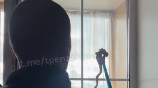 В квартиру жительницы Пензы на 13 этаже заползла жуткая тварь