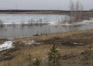 В Пензенской области может уйти под воду часть села Поим