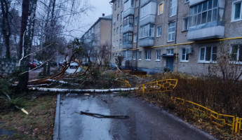 В Пензенской области снова объявлено штормовое предупреждение