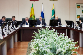 Депутаты Пензенской гордумы подготавливают почву для выборов главы города?