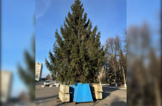 В Кузнецке установили главную городскую ёлку