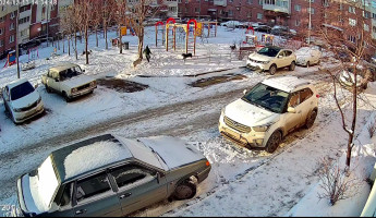 В Пензе стая собак напугала ребёнка в микрорайоне ГПЗ-24