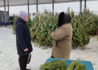 В Железнодорожном районе Пензы провели рейд по елочным базарам
