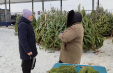 В Железнодорожном районе Пензы провели рейд по елочным базарам