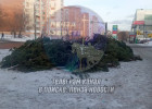 В Пензе нераспроданные ёлки оказались на свалке