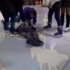 Молодой пензенец разбил голову, катаясь на коньках