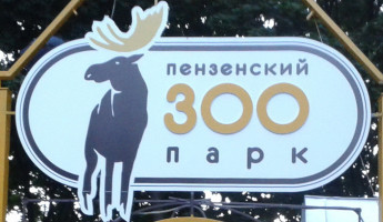В Пензе резко взлетели цены на билеты в зоопарк