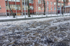 Жалобы пензенцев на гололедицу проверит прокуратура
