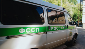 Пензенские приставы отправили на родину 255 иностранцев