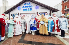 В Пензе подвели итоги новогодней кампании