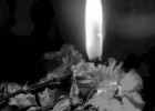 Прощание с Надеждой Захаровой пройдет в Сердобске Пензенской области