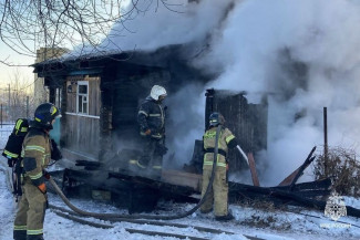 При пожаре в СНТ под Пензой погиб человек