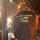 По факту гибели 10-летнего ребенка возбудил уголовное дело пензенский СК