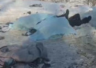 Обнародованы ужасающие снимки с места гибели двух человек в ДТП в Пензенской области