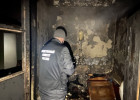 По факту гибели двух человек при пожаре начал проверку пензенский СК