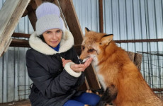 Пензенский депутат оказал помощь экоактивистам из группы «Душа пернатая»