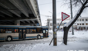 Имитация конкуренции. Как поделён рынок общественного транспорта в Пензе – инфографика 1pnz