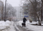 В первый день весны в Пензенской области будет холодно и туманно