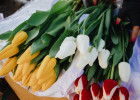 В Пензе мужчины в костюмах раздавали тюльпаны на 8 Марта