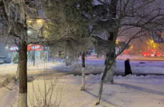 Пензенскую область в воскресенье накроет снежная буря