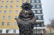 Жительницам Пензенской области ограничат возможность сделать аборт