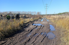 За месяц население Пензенской области сократилось на тысячу человек