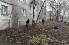 В Пензе двор на улице Пушанина привели в порядок только после визита мэра