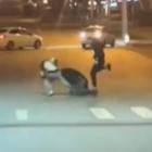 Жесткую драку на проезжей части в Пензе сняли на видео