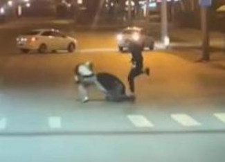 Жесткую драку на проезжей части в Пензе сняли на видео
