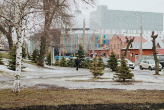 Открытие пензенского цирка снова под угрозой: экспертиза ищет дефекты стен, потолков и крыши